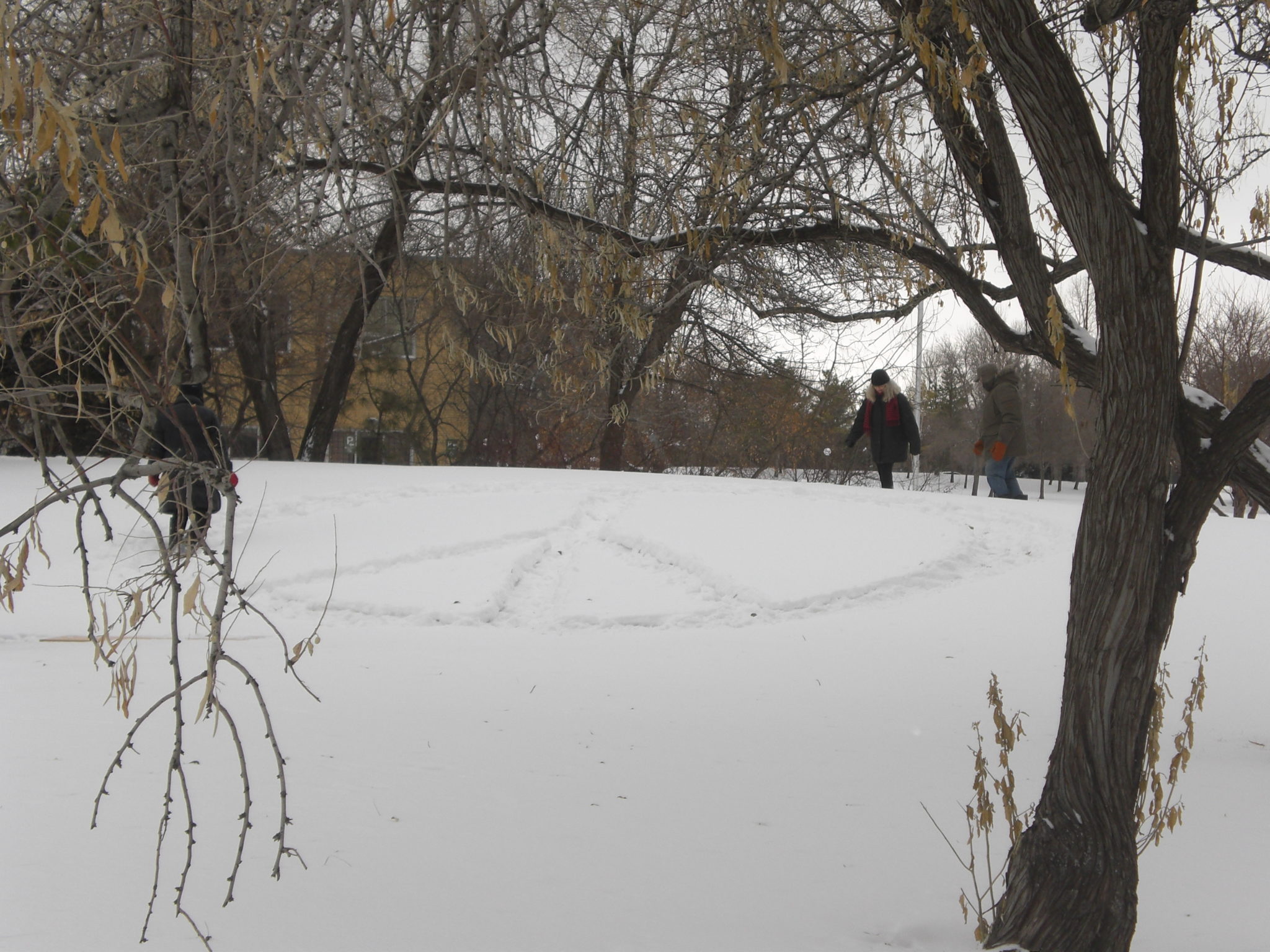 PeaceQuest Regina makes peace with snow